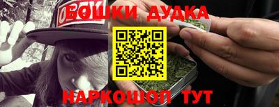 прущие крисы Камышлов
