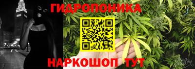 прущие крисы Камышлов