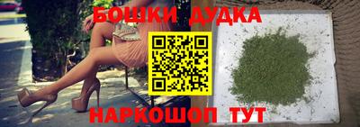 прущие крисы Камышлов