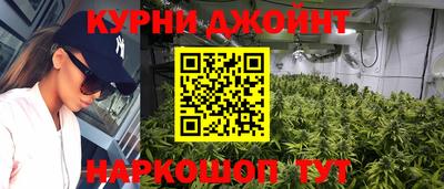прущие крисы Камышлов