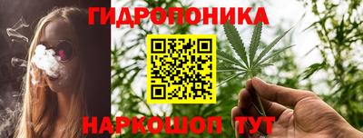 скорость Канаш