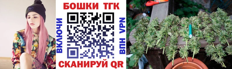 Бошки Шишки сатива  где можно купить   Чапаевск 